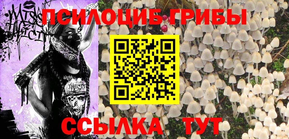 что такое   Псилоцибиновые грибы MAGIC MUSHROOMS  Советская Гавань  Вход с VPN  Галлюциногенные грибы Psilocybine cubensis 