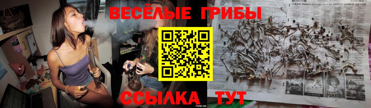 Псилоцибиновые грибы Psilocybine cubensis Советская Гавань